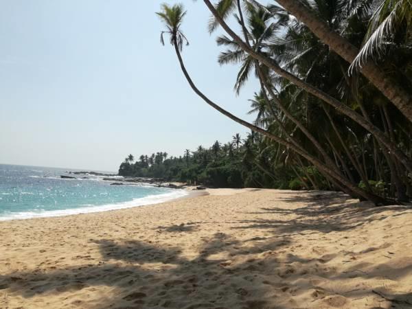 Muthu Resort & Restaurant Tangalle Exterior foto